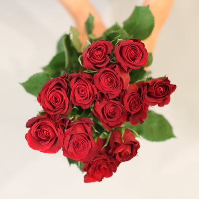 ALLA HJÄRTANS HELG-MYS v7 2026